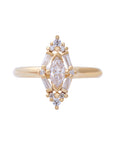 Evelyn Diamond Cluster Ring with Lab Grown Diamonds and Natural Diamonds